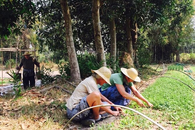 Full Day Siem Reap Farm Tour with Cooking Class and Monk Blessing - Getting your hands dirty on the farm
