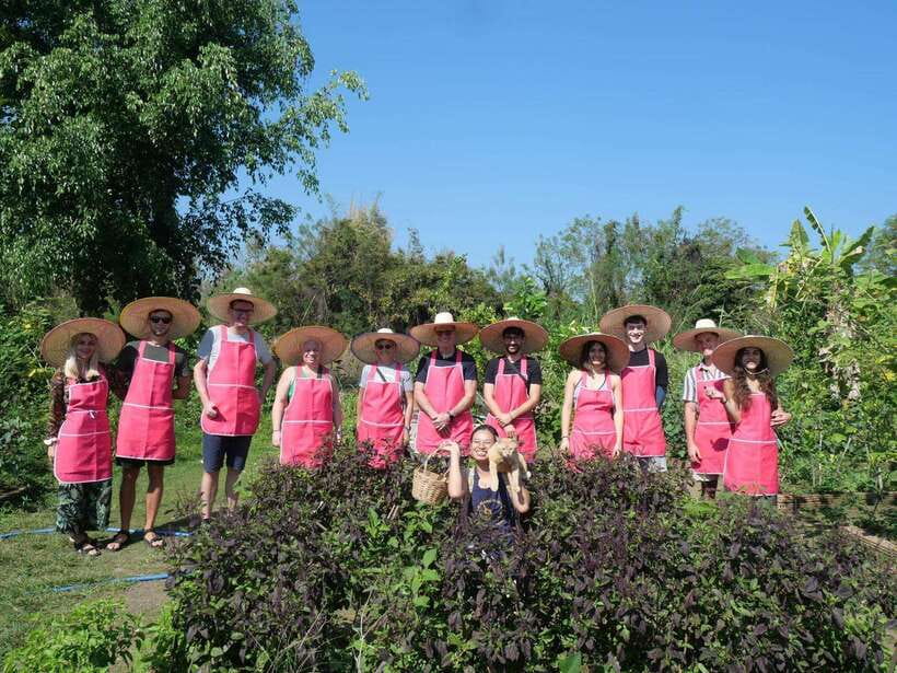 Full Day Thai Cooking Class in Organic Farm and Market - What the $47 price covers