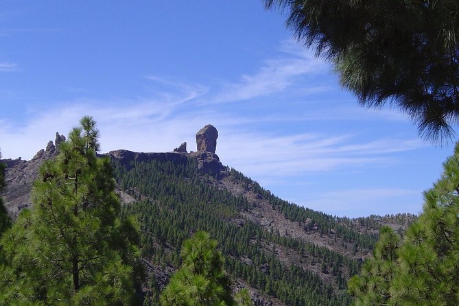Full-Day Tour Exploring History, Nature and Aloe Vera Farm - A fast way to understand Gran Canaria
