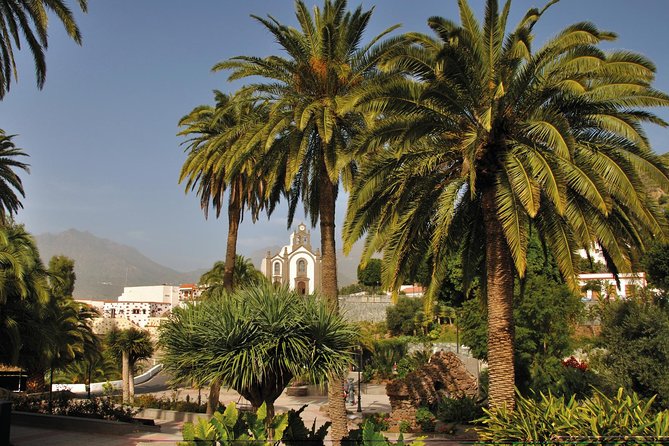 Full-Day Tour Exploring History, Nature and Aloe Vera Farm - Arucas: rum, bananas, and a northern town