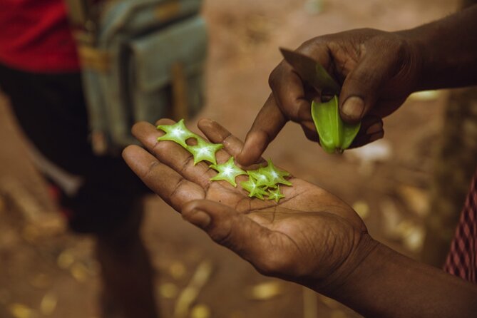 Full Day Trip to Stone Town, Spice Farms and Prison Island - Who should book this full-day outing?