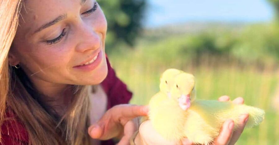 Gallura: Picnic on a Farm with Animals - A quiet farm stop near Olbia