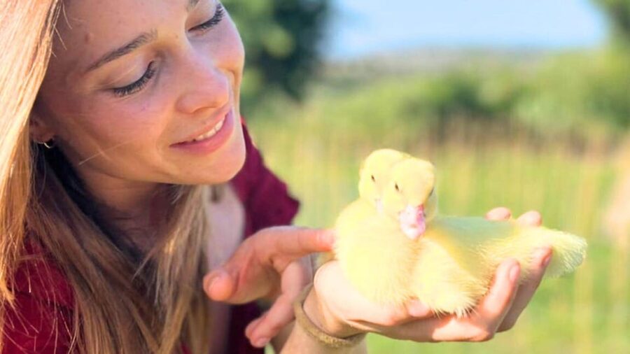 Gallura: Picnic on a Farm with Animals - Is $40 a fair price?
