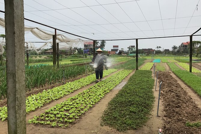 Gardening at Tra Que Vegetable Village and cooking class - Timing, group size, and small practical points