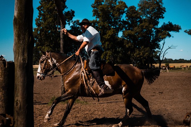 Gaucho Day Trip from Buenos Aires: Santa Susana Ranch - Empanadas, wine, and the first look at the estancia