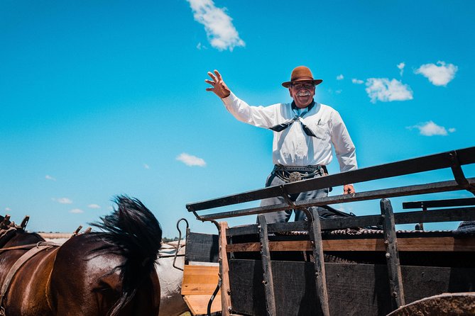 Gaucho Day Trip from Buenos Aires: Santa Susana Ranch - Choosing the carriage or the horse ride