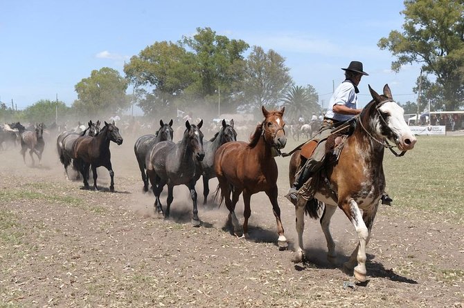 Gaucho Experience: A Day Trip to Don Silvano Ranch - Welcome empanadas, wine, and the first look at Don Silvano