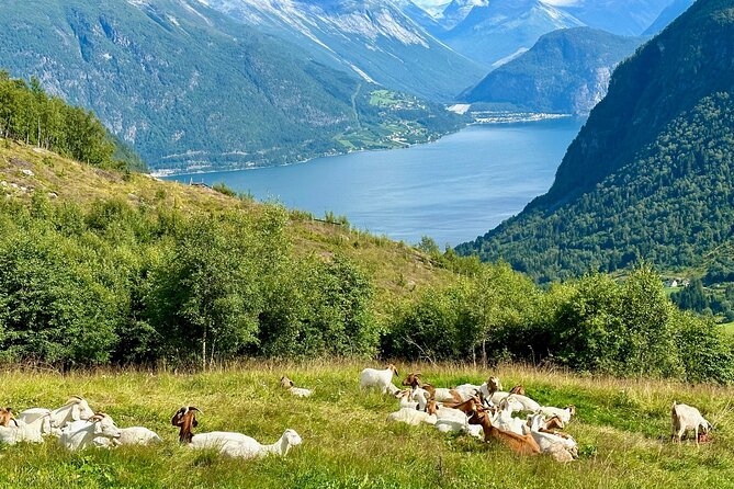 Geiranger by Royal route, 5 hours with visiting a high-mountain farm - Kilsti and the heart-shaped Storfjord view