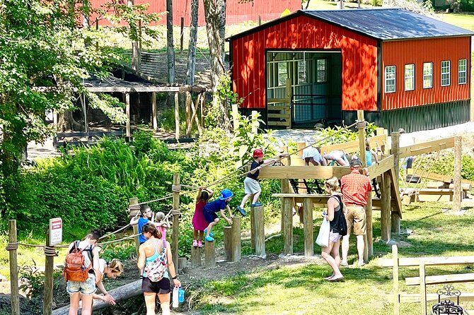 Gem Mining and Goat Farm Walking Tour in Hendersonville - The crystal and fossil store adds a second layer