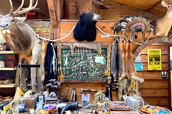 Gem Mining and Goat Farm Walking Tour in Hendersonville - How this compares with a simple souvenir stop