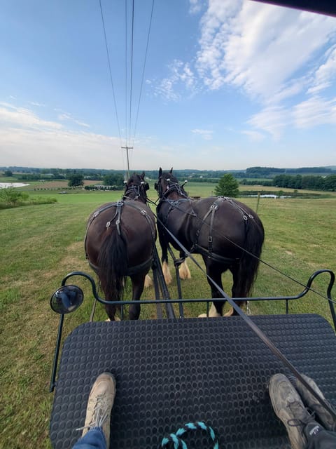 Gettysburg: Horse-Drawn Carriage Tour Countryside & Orchards - Who should book, and who should skip it
