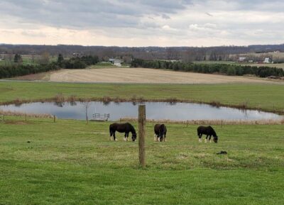 Gettysburg: Horse-Drawn Carriage Tour Countryside & Orchards
