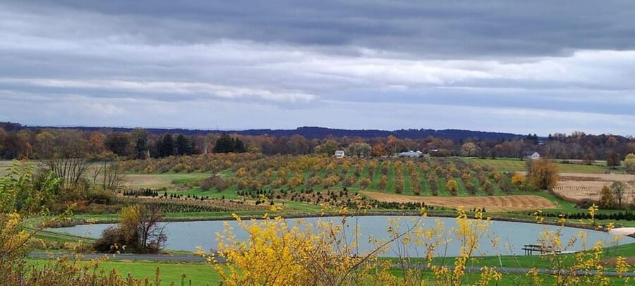 Gettysburg: Horse-Drawn Carriage Tour Countryside & Orchards - Through Adams County orchards and working farms