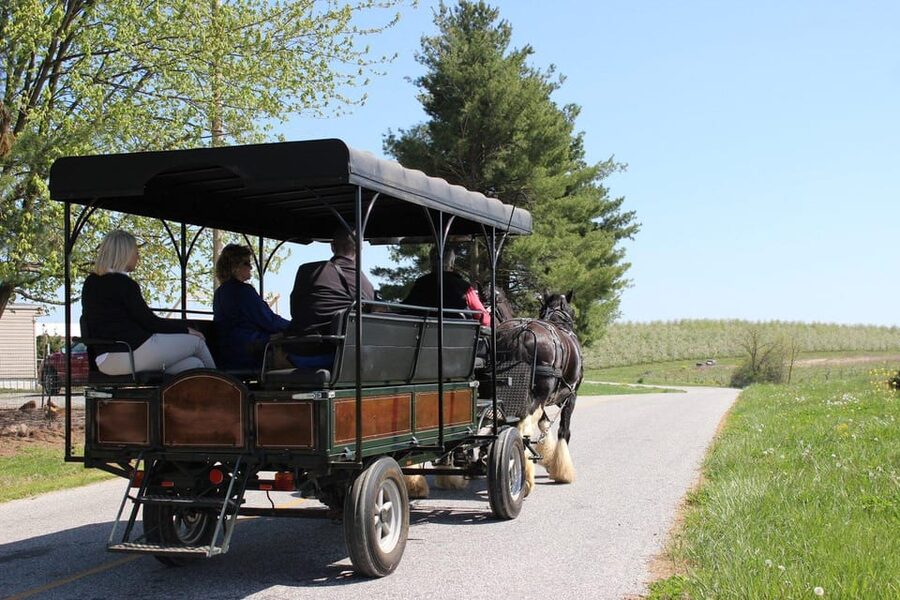 Gettysburg: Horse-Drawn Carriage Tour Countryside & Orchards - What the guides add to the experience