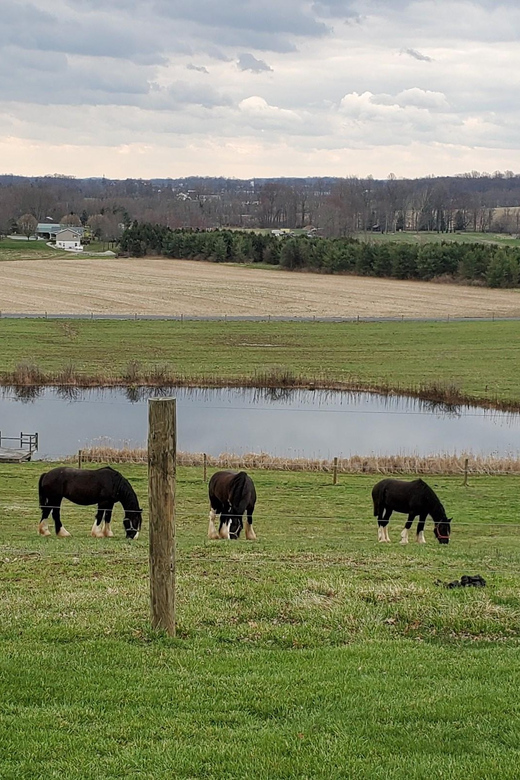Gettysburg: Horse-Drawn Carriage Tour Countryside & Orchards - Is $44 a fair price?