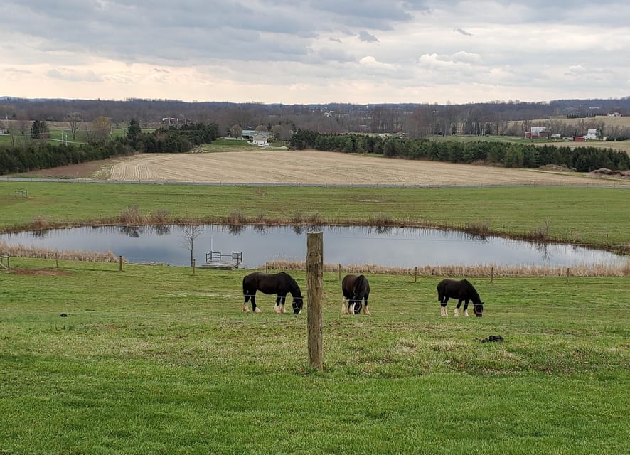 Gettysburg: Horse-Drawn Carriage Tour Countryside & Orchards - Finding Silvershire Farm north of Gettysburg