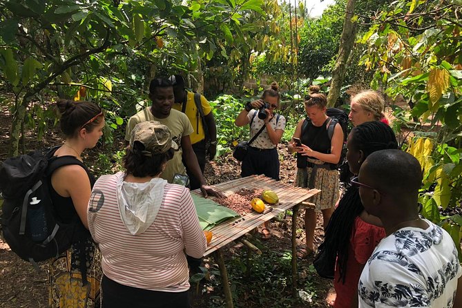 Ghana Eastern Explorer - Boti Falls, Aburi Gardens & Tetther Quarshie Cocoa Farm - Why this eastern Ghana day trip works