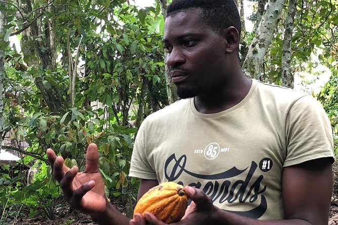 Ghana Eastern Explorer - Boti Falls, Aburi Gardens & Tetther Quarshie Cocoa Farm - Food, comfort, and what you still need