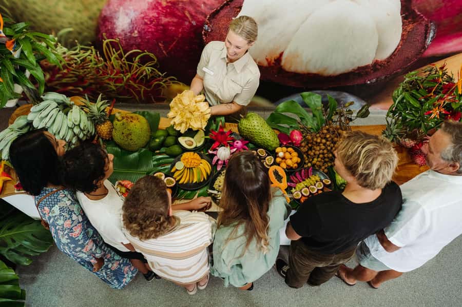 Gold Coast: Tropical Fruit World Full Farm Tour - Why this farm tour is different