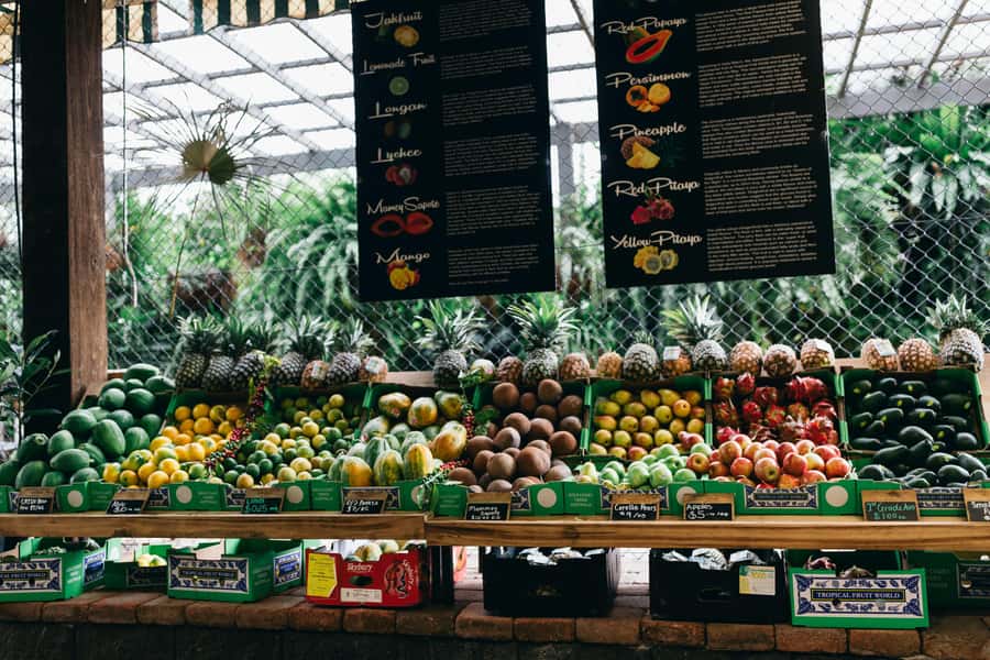 Gold Coast: Tropical Fruit World Full Farm Tour - Timing, weather, and the New South Wales detail