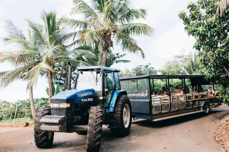 Gold Coast: Tropical Fruit World Full Farm Tour - Riding through the tropical orchards