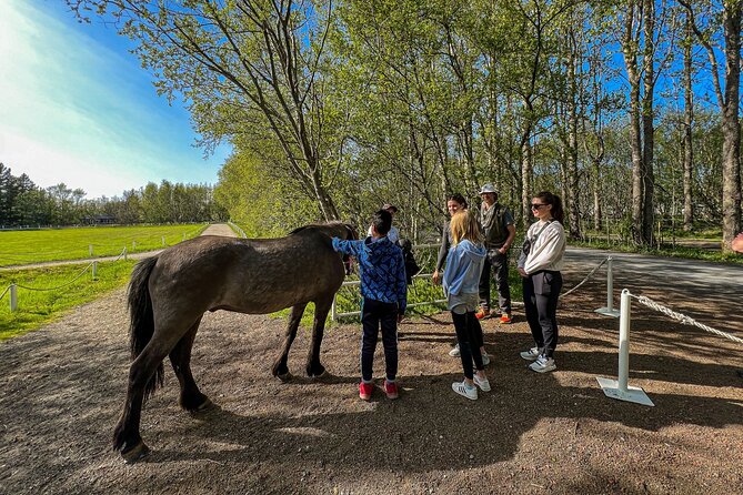 Golden Circle and Lunch at Fridheimar Tomato Farm - with photos - How to prepare for this seven-hour outing