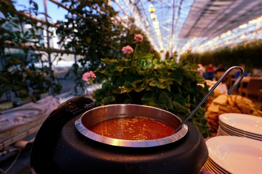 Golden Circle & Lunch at Fridheimar Tomato Farm- with photos - Why the tomato farm changes the usual Golden Circle day