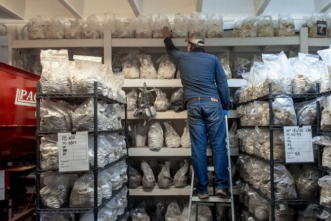 Gourmet Mushroom Farm Tour in Tennessee - From Substrate to Fruiting Bags