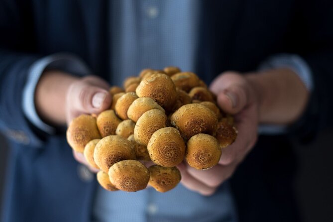 Gourmet Mushroom Farm Tour in Tennessee - The One-Hour Format and What It Gives You