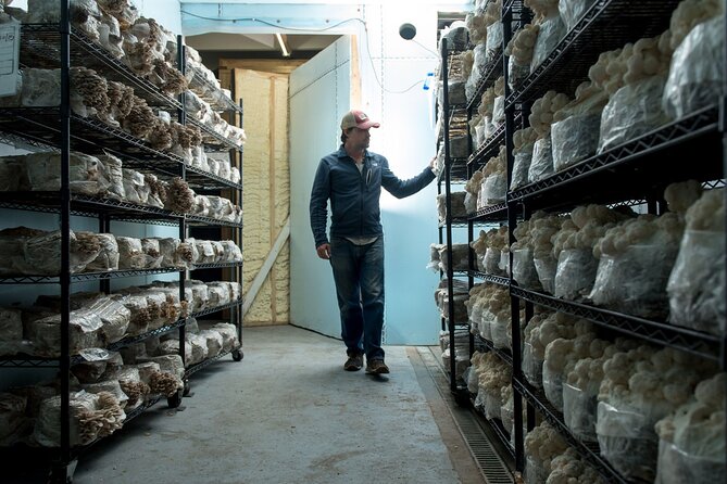 Gourmet Mushroom Farm Tour in Tennessee - Is $35 a Fair Price?
