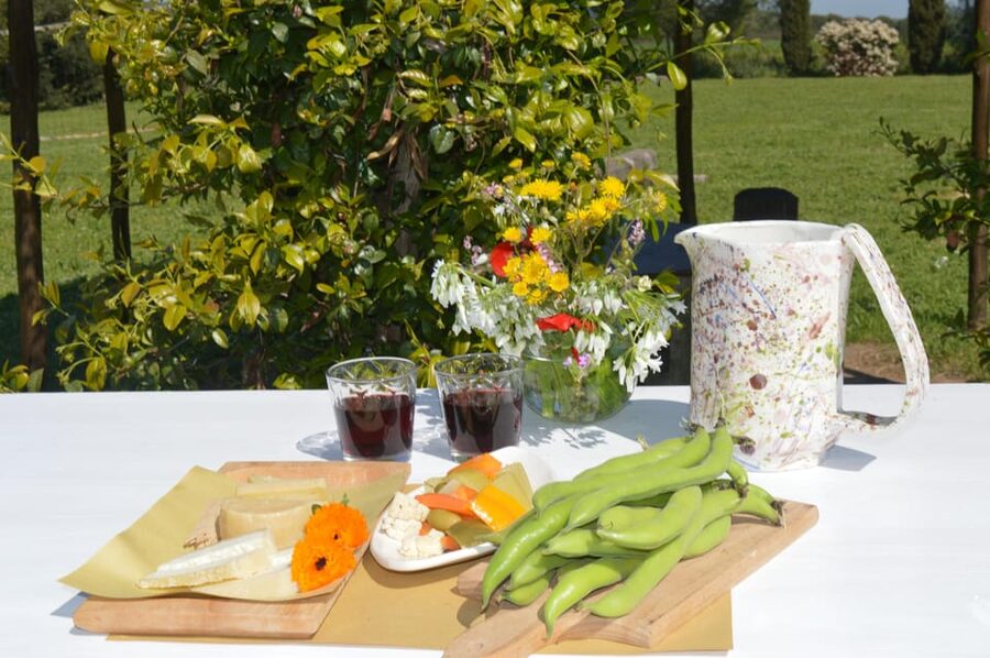 Grosseto: visit the family farm with tasting of local food - Elena’s personal welcome and the small-group setting