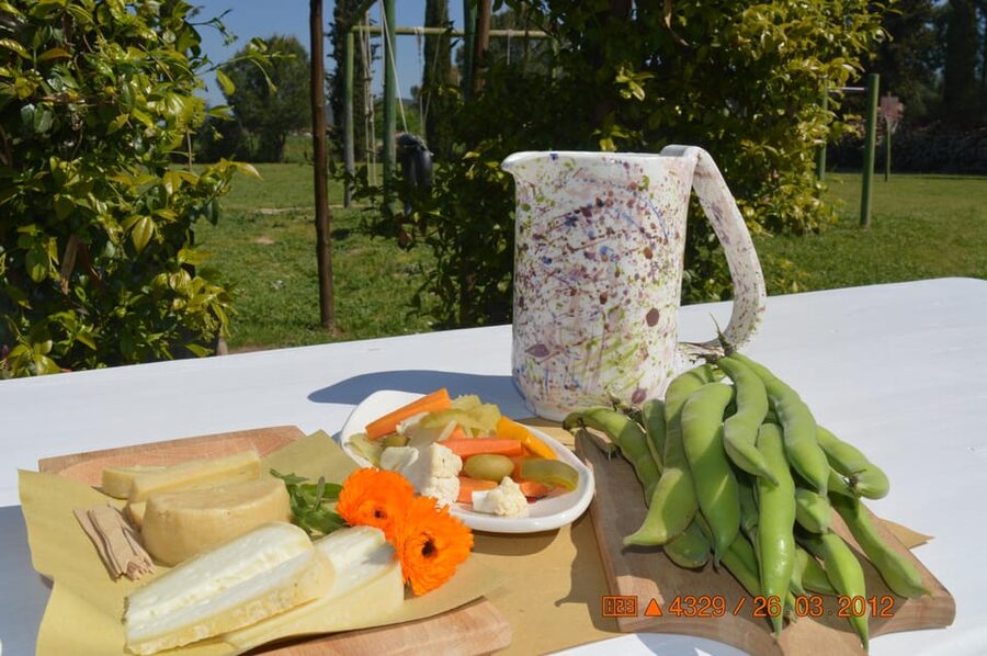 Grosseto: visit the family farm with tasting of local food - Is $33 a fair price?