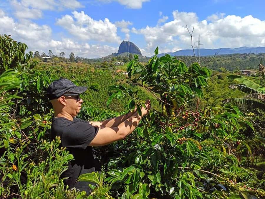Guatapé & Coffee Farm, all in one day - Why this Medellín day trip works