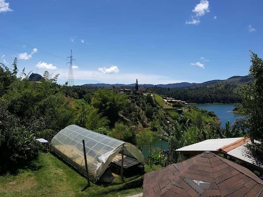 Guatapé & Coffee Farm, all in one day - The family coffee farm, from seed to cup