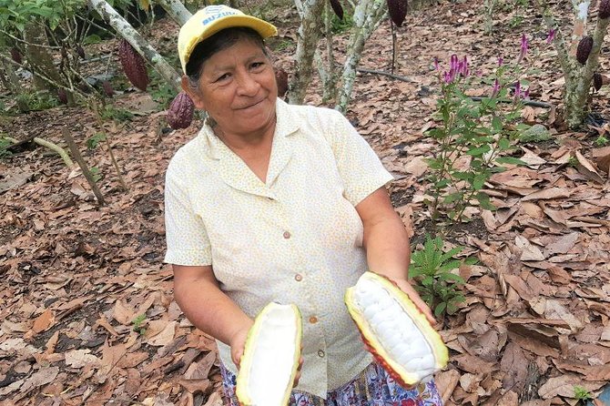 Guayaquil to Cuenca one-way tour with Cajas Park and a Cacao Farm visit - Why this transfer is better than simply taking the bus