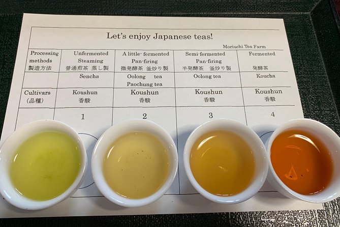 Guided Bike Tour to a Green Tea Farm in Shizuoka (not e-bikes) - Key points before you book