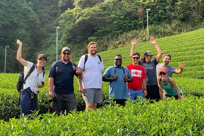 Guided Bike Tour to a Green Tea Farm in Shizuoka (not e-bikes) - What the $175.60 price really covers