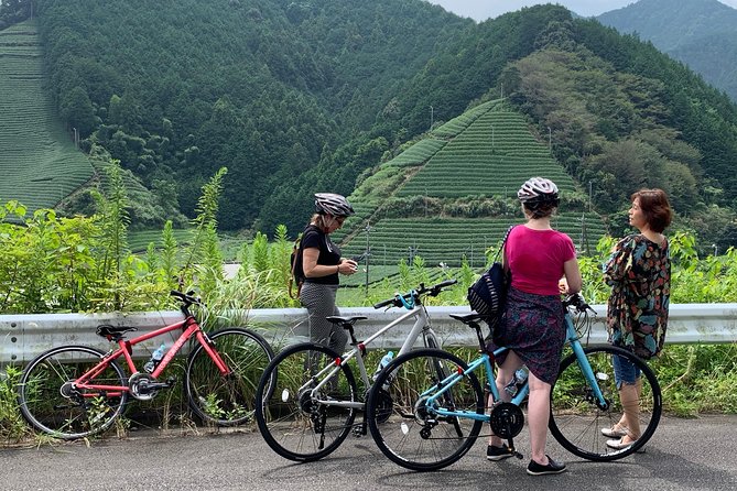 Guided Bike Tour to a Green Tea Farm in Shizuoka (not e-bikes) - Crossing Abekawa Park by bike