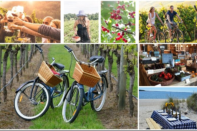 Guided Farm and Wine Country Bike Tour in Mattituck NY - At a glance
