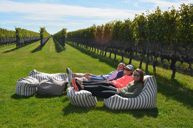 Guided Farm and Wine Country Bike Tour in Mattituck NY - Mattituck vineyards and a gentle start