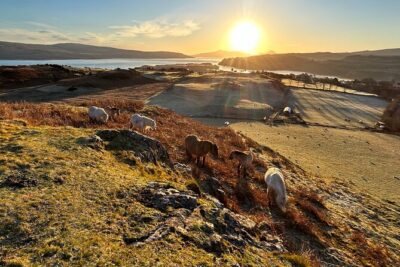 Guided Hebridean Farm Hike near Tobermory, Isle of Mull, Scotland