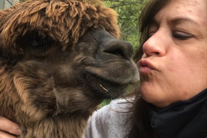 Guided Lilymoore Alpaca Farm Tour - Is the $16.95 price a good value?