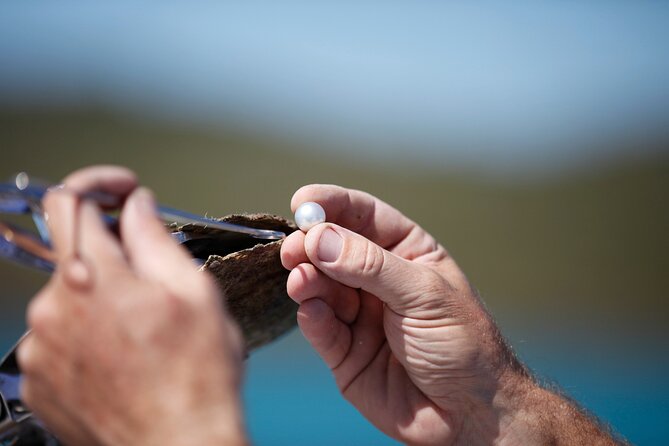 Guided Paspaley Pearl Farm Tour with Return Transfers - Key details before you book