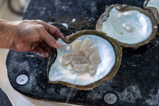 Guided Paspaley Pearl Farm Tour with Return Transfers - What the $143.91 price really covers