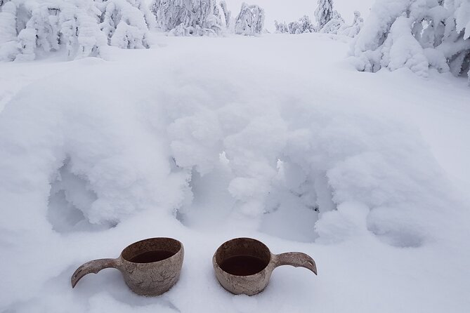 Guided reindeer farm visit and one hour sledge safari - Luosto and Pyhätunturi as the wider setting