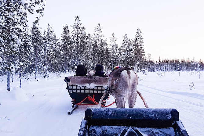 Guided reindeer farm visit and one hour sledge safari - Following the trail toward Pyhä-Luosto National Park