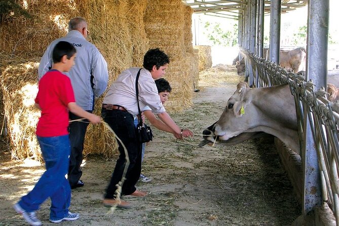 Guided tour from Agrigento: Sicilian traditions with a farm - Cammarata brings food, stairs, and mountain-town character