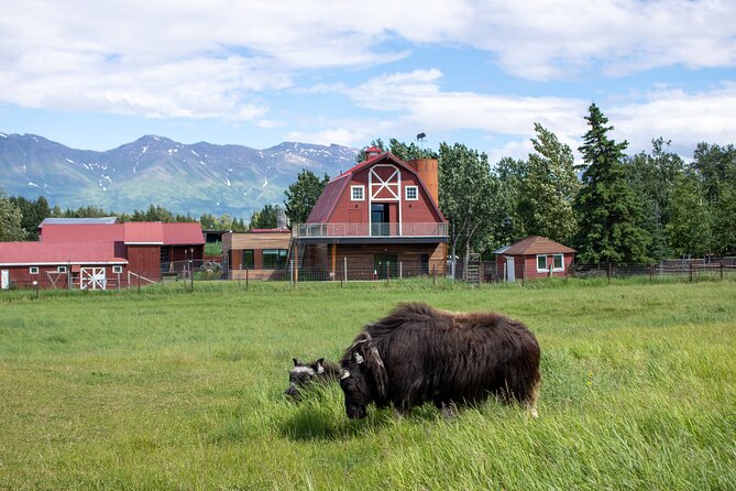 Guided Tour of Musk Ox Farm & Scenic Drive from Anchorage - Weather, clothing, and farm-ready planning