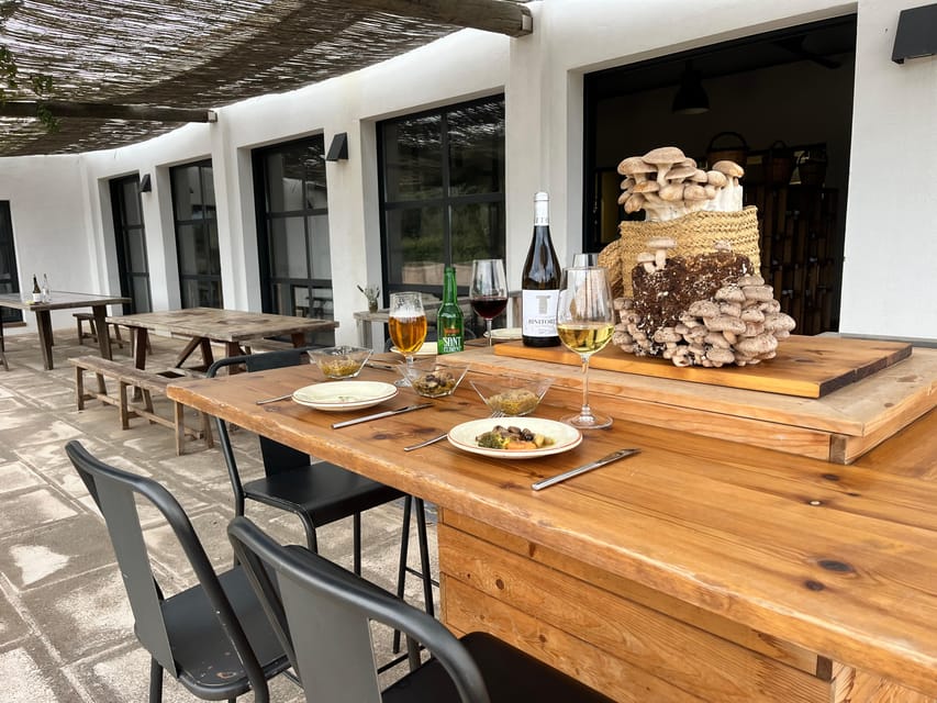 GUIDED TOUR + TASTE IN A MUSHROOM FARM - Why this mushroom farm is worth your time in Menorca
