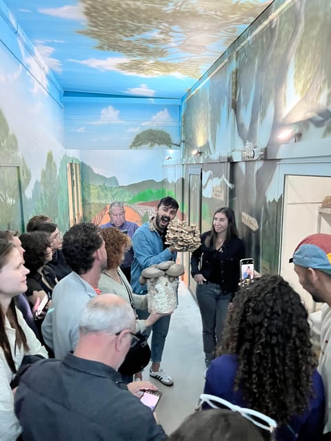GUIDED TOUR + TASTE IN A MUSHROOM FARM - Who will get the most from this visit